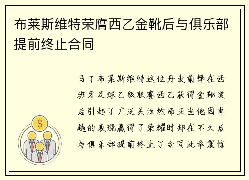 布莱斯维特荣膺西乙金靴后与俱乐部提前终止合同